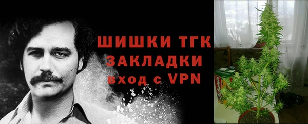 амф Нея