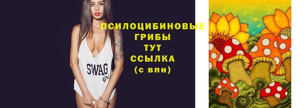 молекула духа Нефтегорск