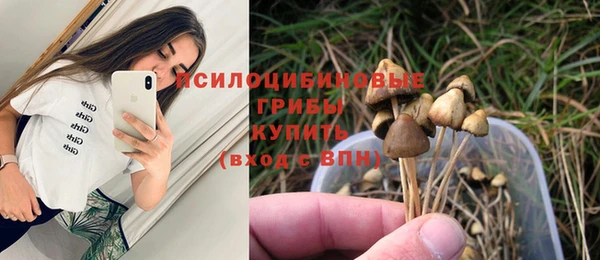молекула духа Нефтегорск