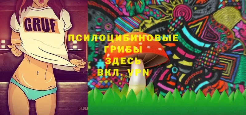 omg ссылки  Ардатов  Псилоцибиновые грибы Psilocybine cubensis 