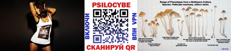 Галлюциногенные грибы мухоморы  МЕГА рабочий сайт  Ардатов 